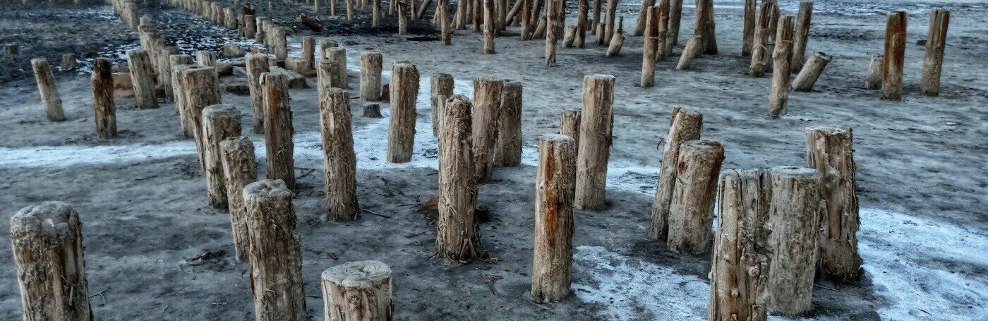  ������ ������� ������������ ��������� ���� ������ ������ ���� 