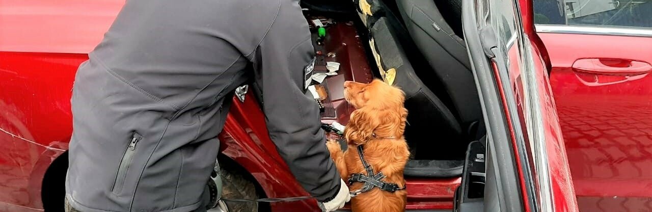  �������� ������������ ������ ����� ���������� ���� 