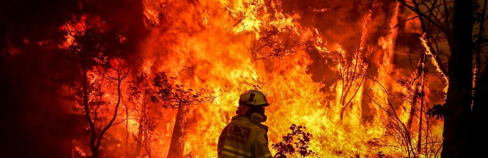  ���������� ����� �������� ������� ����� ������� 