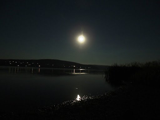  ��������� ����� ������� �������� ������� ��������� �������� ������� 