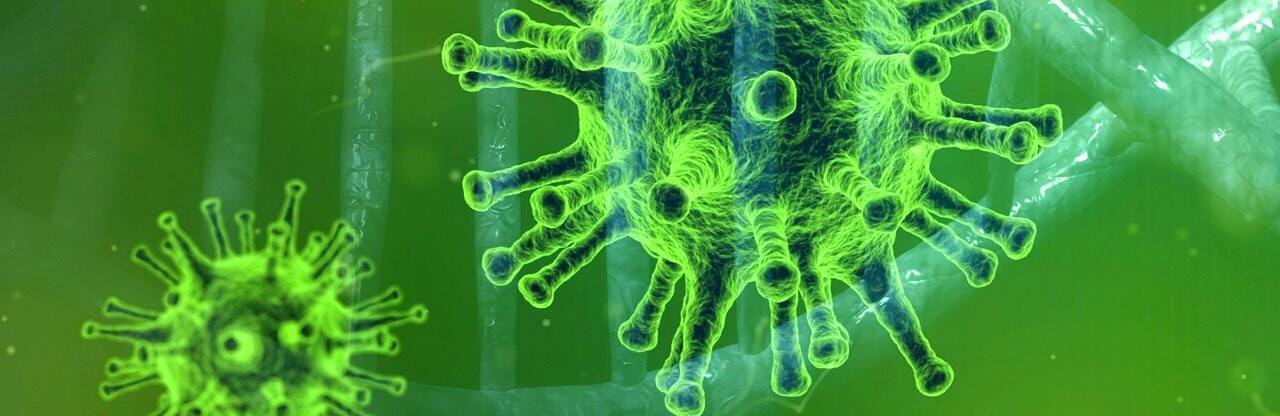  ����������� ������� ��������� ������ ���� 