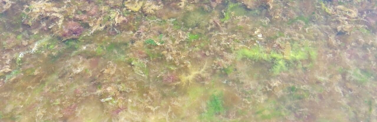  ���� ���� ������ ������ ��������� ������� ���� 