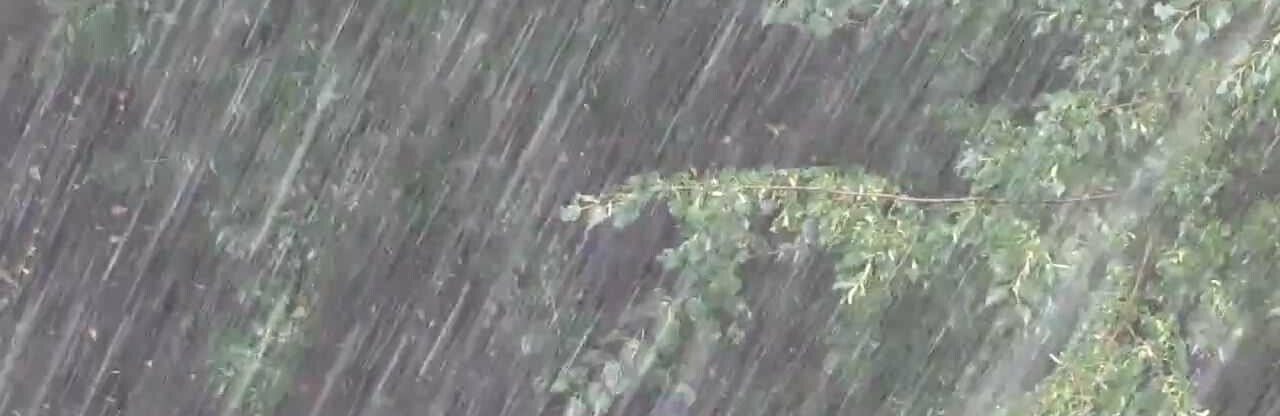  ����������� �������� ������ ����� �������� ������������ ������� 