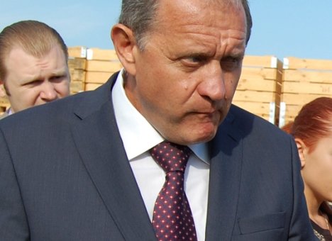 могилев яблоки 2