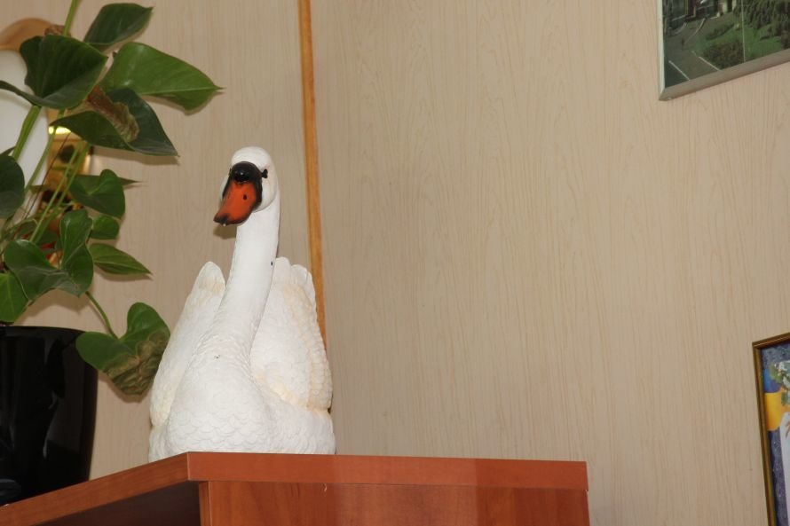 Лебедь на шкафу в кабинете директора ЖКС