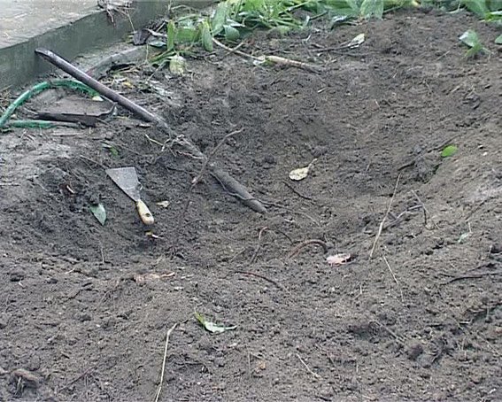PM256image002