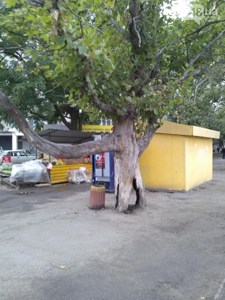 c6dac6741a6b7b242926ba7750a52f67