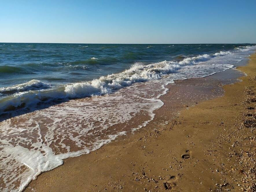 Азовское море картинки. Китей Азовское море. Лабадия Азовское море. Азовское море 2020. Псыж Азовское море.