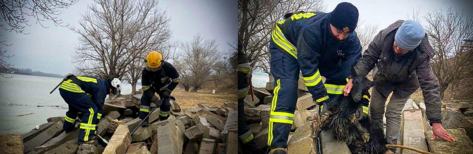 На Одещині рятувальники дістали козу з пастки, - ФОТО 