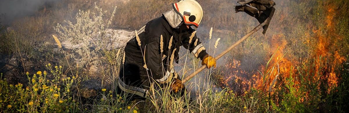 На Одещині за тиждень вогонь знищив 95 гектарів української землі