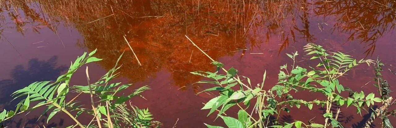 На Одещині у воді виявили невідому речовину червоно-помаранчового кольору, - ФОТО 