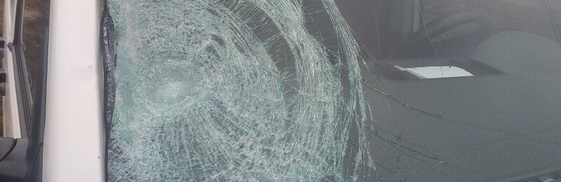 Злякався і втік з місця події: на Одещині розшукали винуватця смертельної ДТП