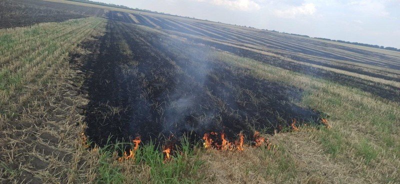 Викинув недопалок у стерню: в Одеській області чоловік спалив два гектари поля