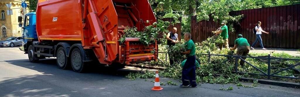 В Одесі вітер повалив 20 дерев