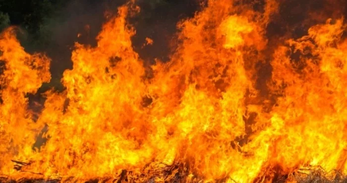 Куріння в будинку: на Одещині пожежа забрала життя чоловіка 