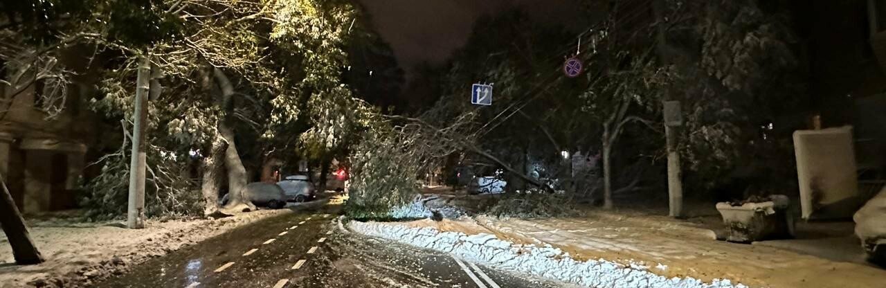 В Одесі повалило 117 дерев 