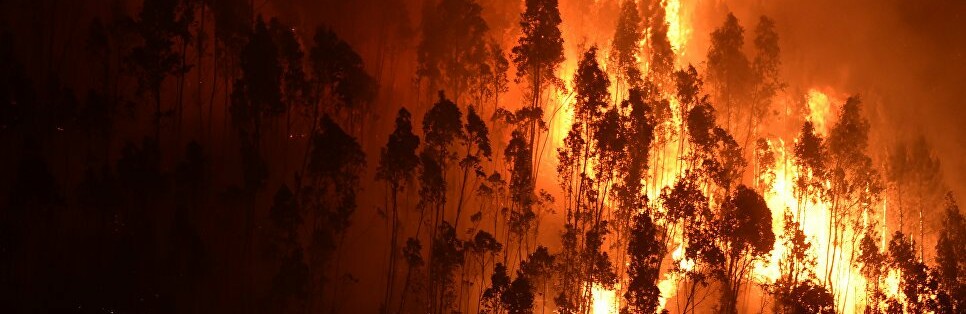 На Одещині оголосили високу пожежну небезпеку