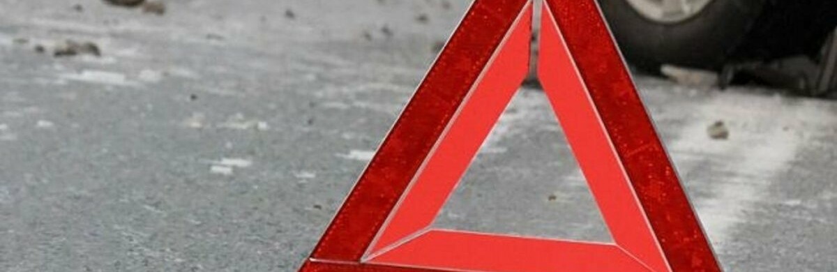 Різко вибіг на дорогу: на Одещині 12-річний хлопчик потрапив під мікроавтобус, - ФОТО