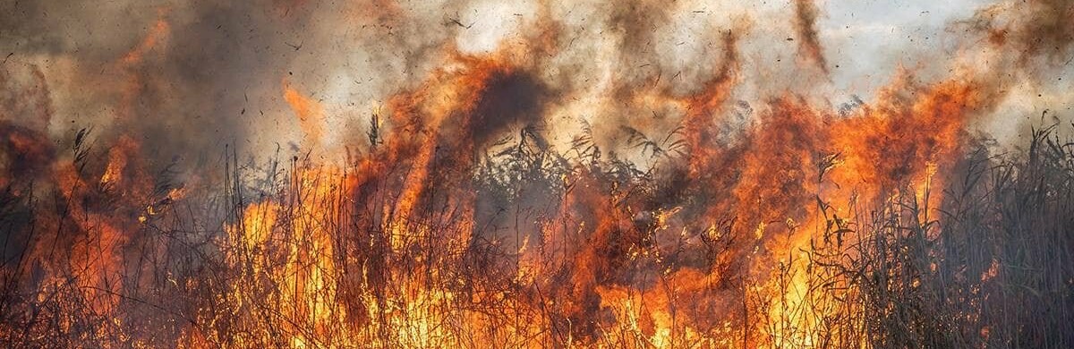 За минулу добу рятувальники 31 раз виїжджали на загорання сухої рослинності в Одеській області