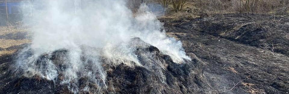 За спалювання трави та сміття жителька Одещини сплатить 3 тисячі гривень штрафу
