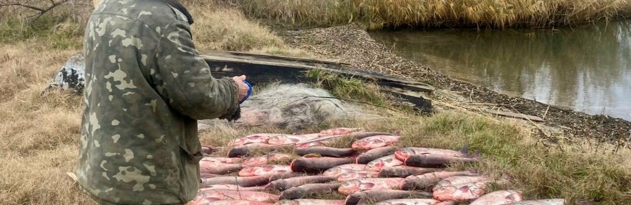 Поліцейські Одещини викрили браконьєра на озері Ялпуг