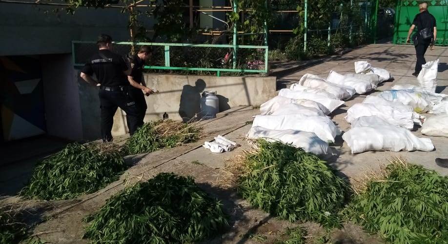 У жителя Одещини виявили більше півтисячі кущів конопель та 140 кілограмів канабісу
