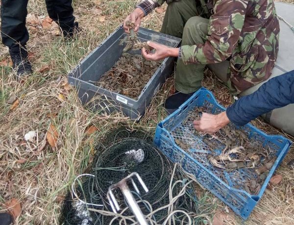 На річці в Одеській області викрили браконьєрів, які наловили раків на понад мільйон гривень