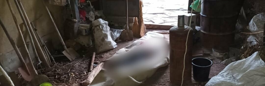 В Одеській області чоловік забив до смерті рідного брата та сховав тіло в гаражі