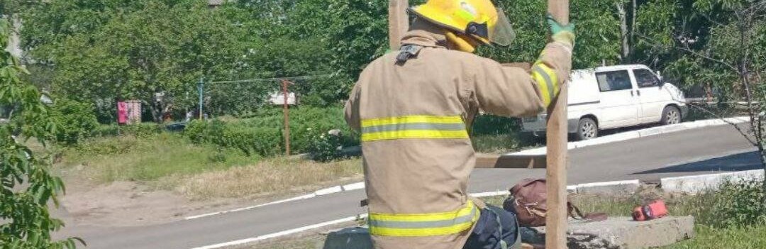 На Одещині пожежники врятували кішку