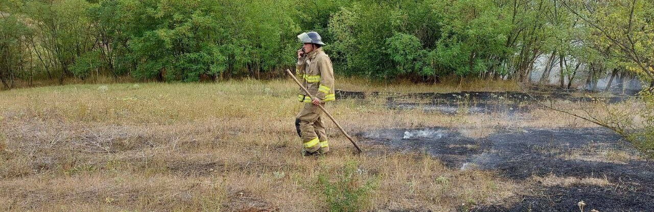 В Одеській області ліквідували пожежу в екосистемі, - ФОТО