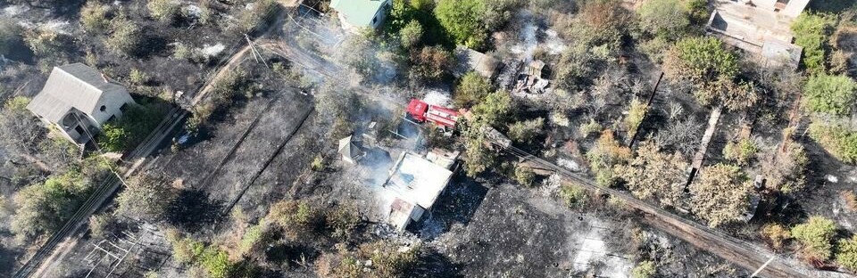 Вогонь охопив 15 гектарів: в Одеському районі загорівся садовий кооператив