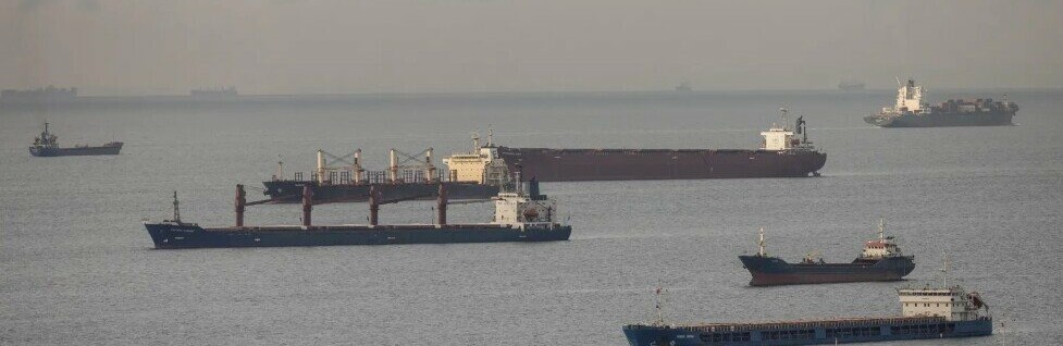 Три іноземних судна обійшли морську блокаду РФ та стали на якір в портах на Одещині