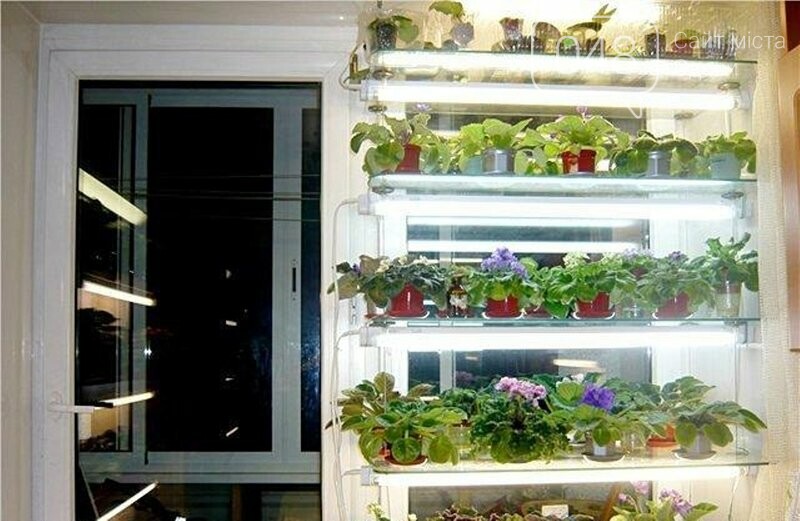 Стеллаж На Окно Под Рассаду Купить