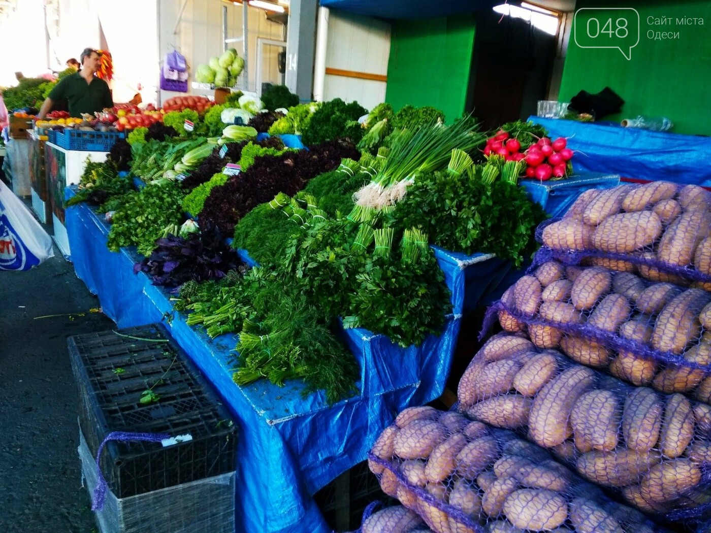 Ищем, где дешевле в Одессе: обзор цен на продукты на рынка..., фото-8 Ищем, где дешевле в Одессе: обзор цен на продукты на рынках Котовского, - ФОТО, ИНФОГРАФИКА, фото-8