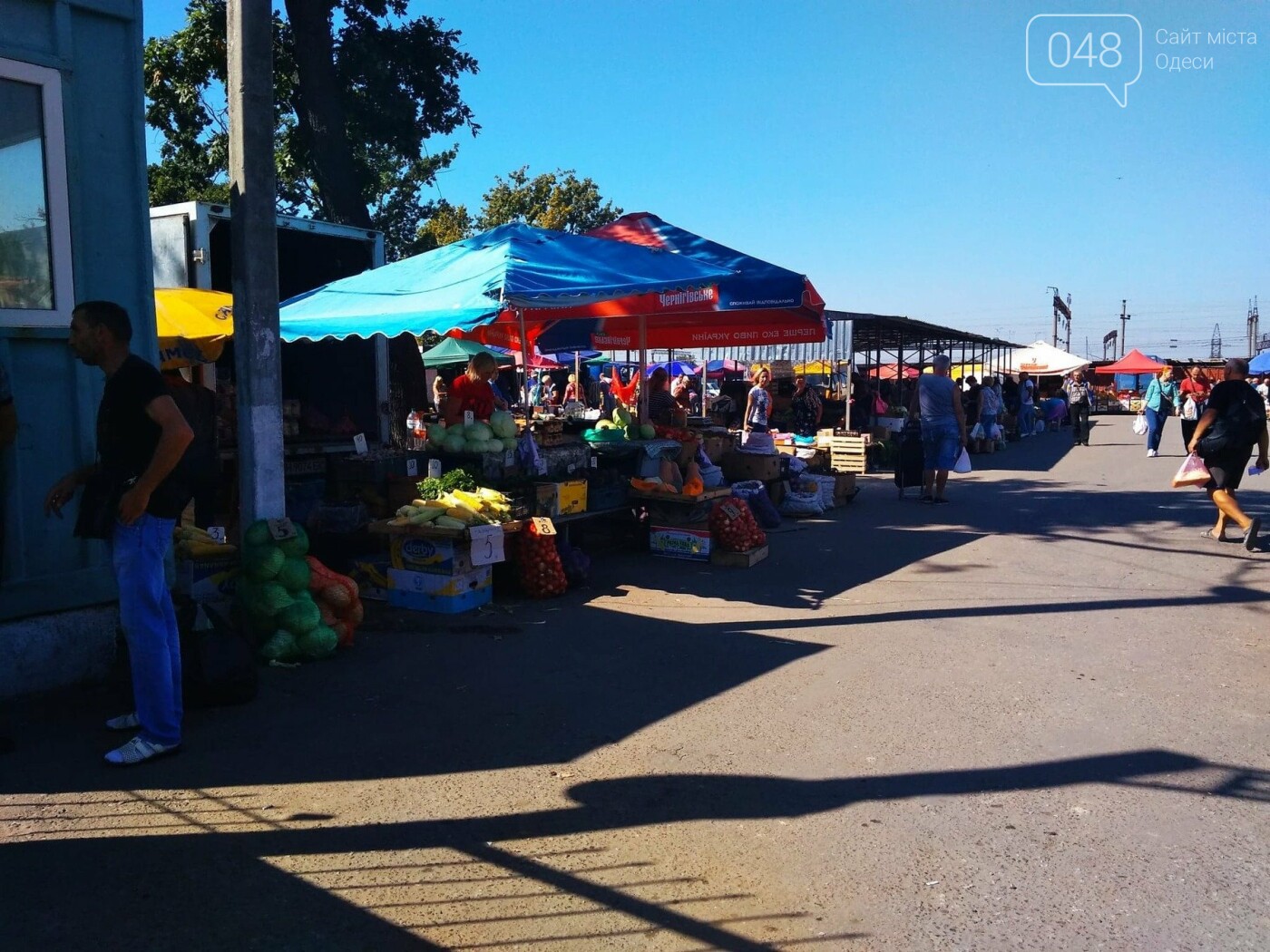 Ищем, где дешевле в Одессе: обзор цен на продукты на рынка..., фото-1 Ищем, где дешевле в Одессе: обзор цен на продукты на рынках Котовского, - ФОТО, ИНФОГРАФИКА, фото-1