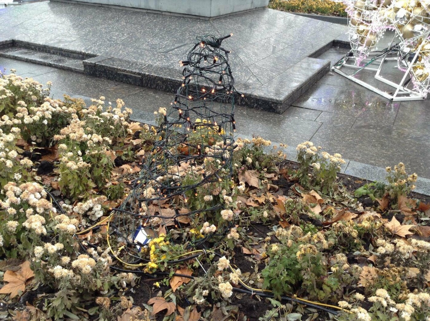 Новогодняя иллюминация от горсовета "отсвечивает" уголовным..., фото-1 Новогодняя иллюминация от горсовета "отсвечивает" уголовными делами, - ФОТО, фото-1