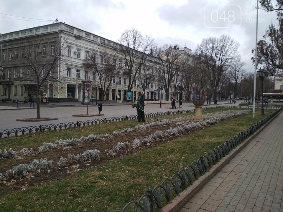 Бежецк городской сад фото