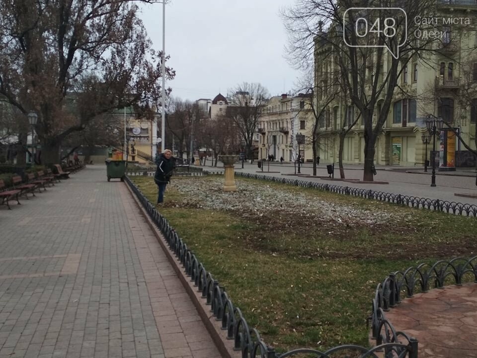 Фото: 048.ua