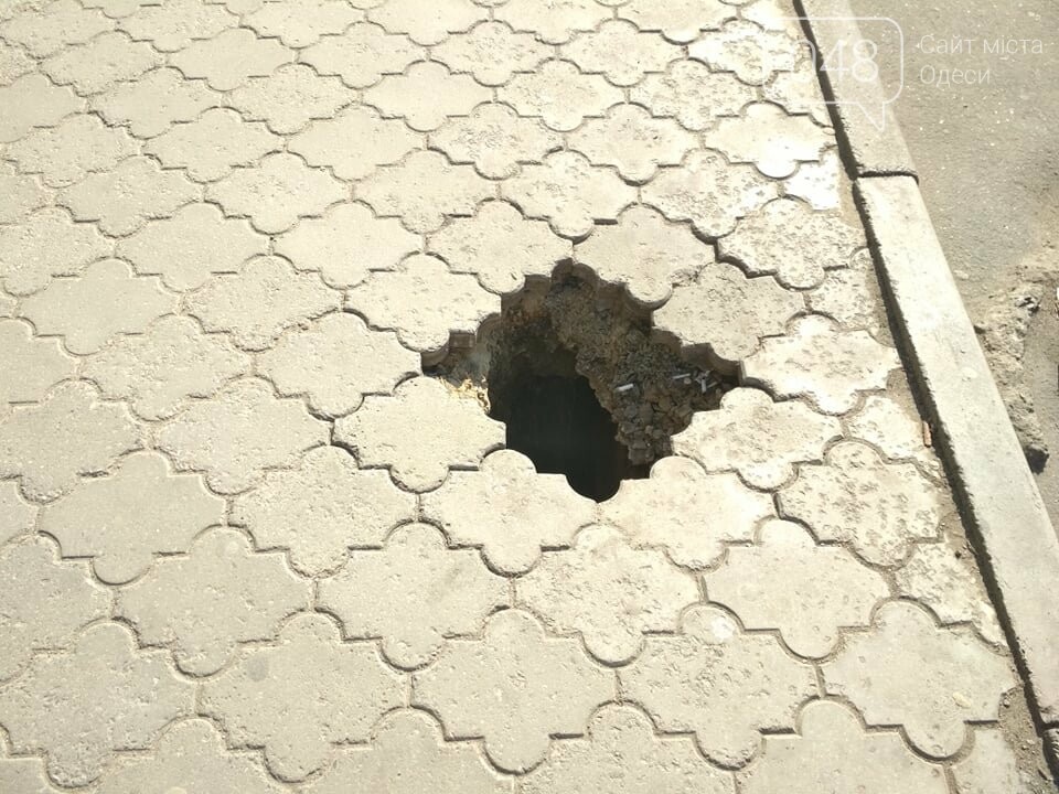 Фото: 048.ua