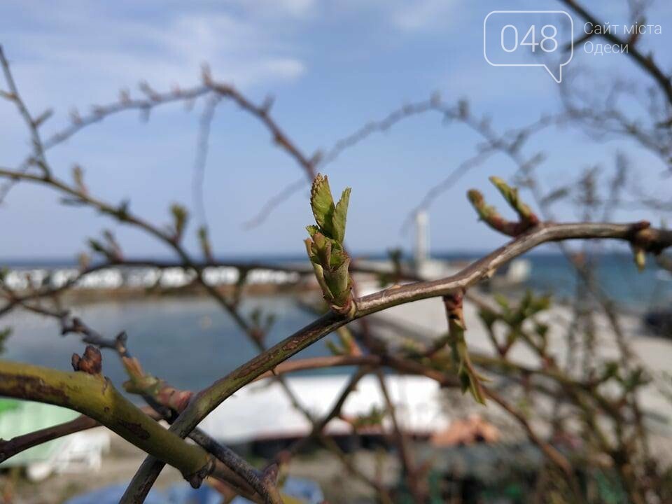Фото: 048.ua