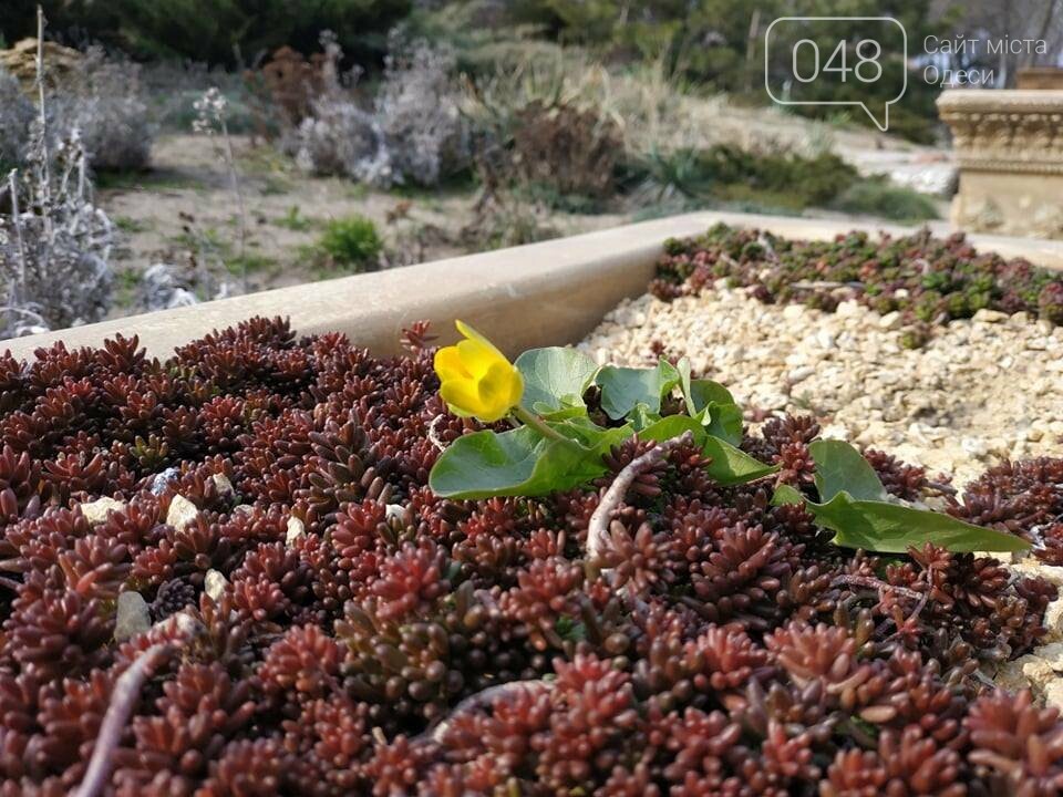 Фото: 048.ua