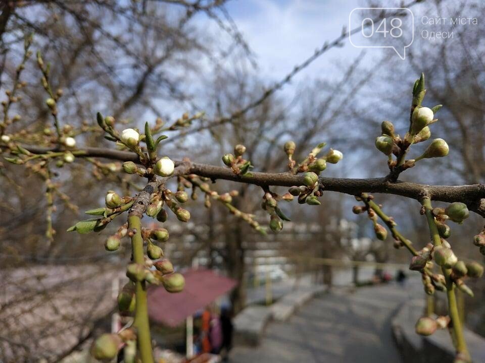Фото: 048.ua