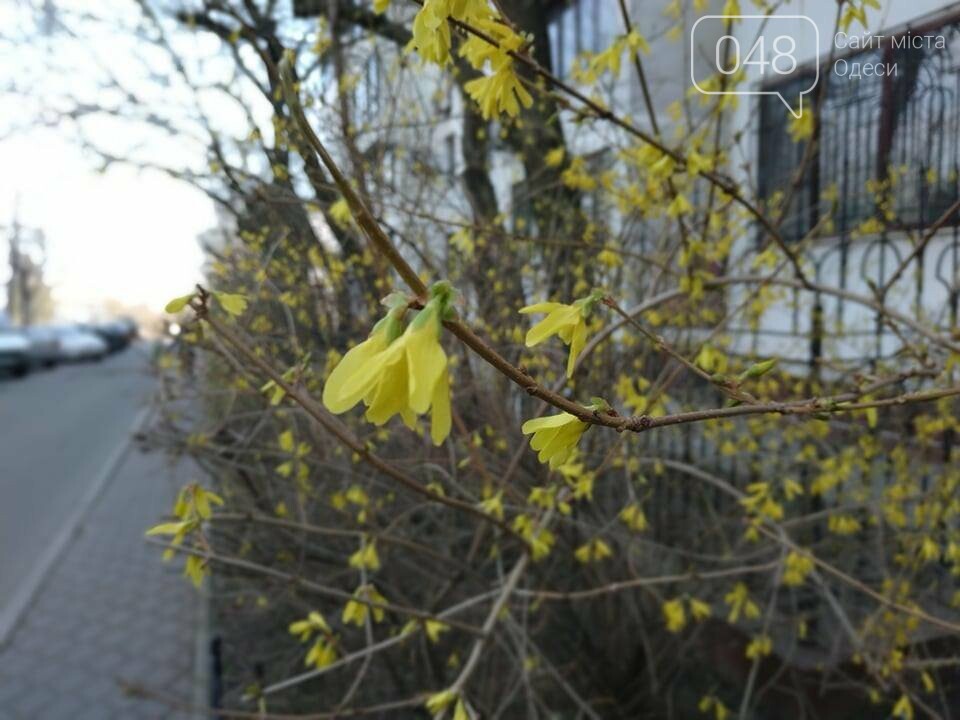 Фото: 048.ua