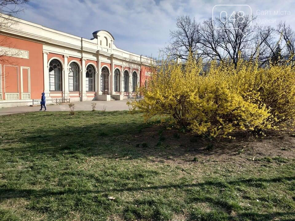 Фото: 048.ua