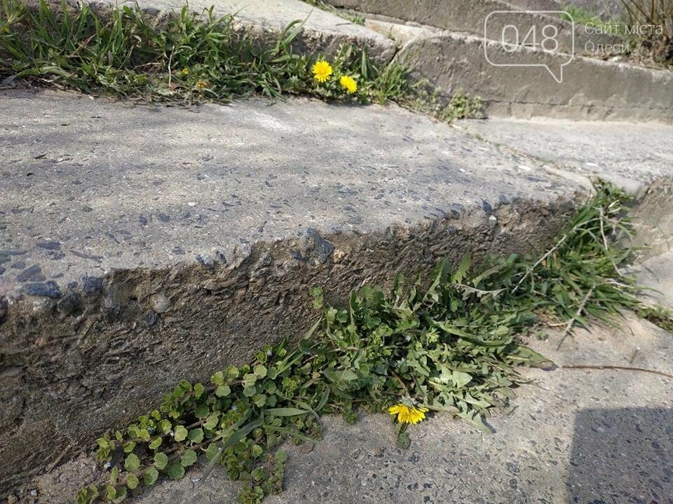 Фото: 048.ua