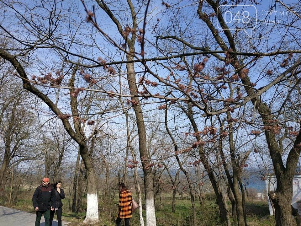 Фото: 048.ua