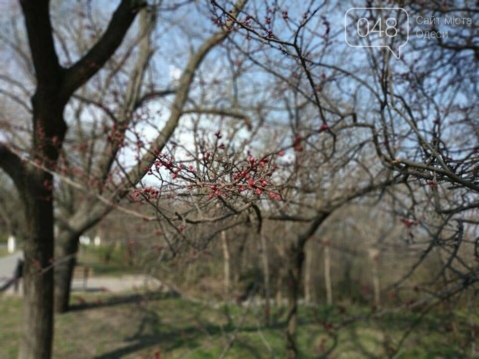 Фото: 048.ua