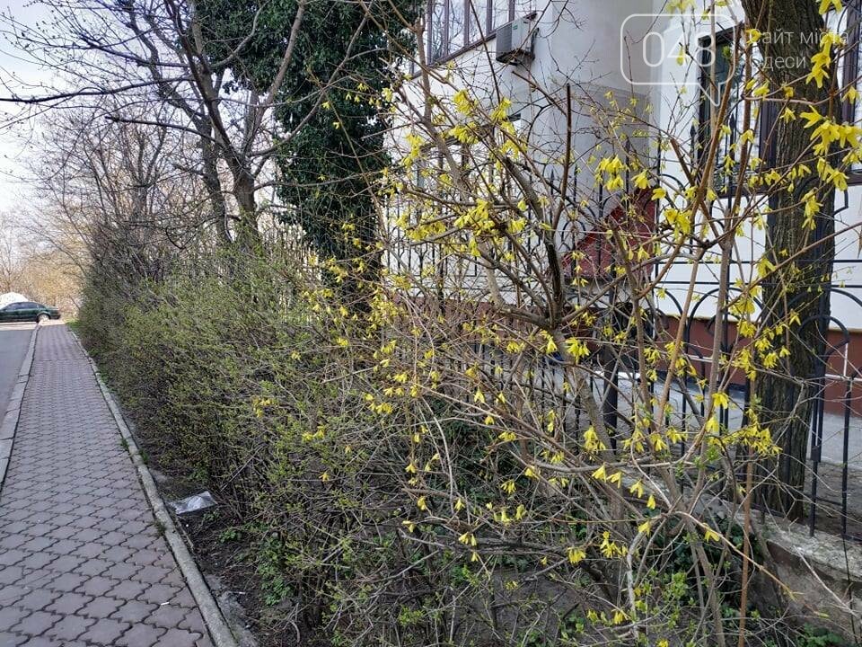 Фото: 048.ua