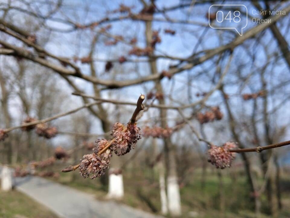 Фото: 048.ua