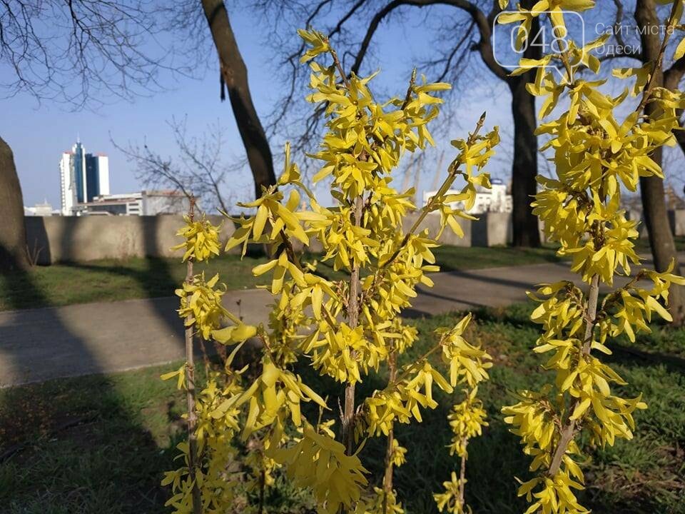 Фото: 048.ua